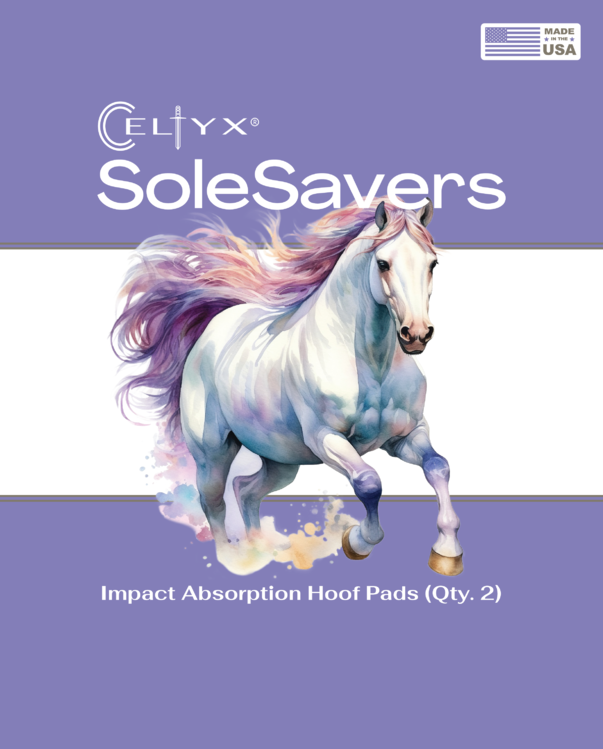 SoleSaver